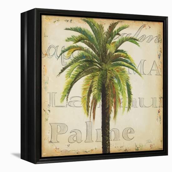 La Palma III-Patricia Pinto-Framed Stretched Canvas