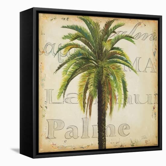 La Palma III-Patricia Pinto-Framed Stretched Canvas