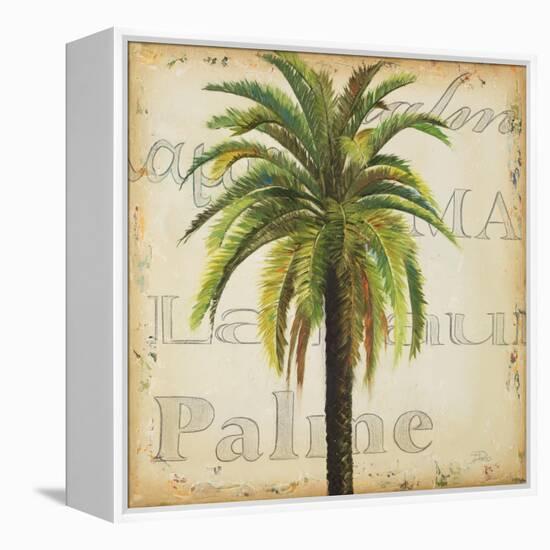 La Palma III-Patricia Pinto-Framed Stretched Canvas