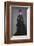 La Parisienne, c. 1876-Edouard Manet-Framed Art Print