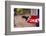 La Paz Waterfall Gardens.-Stefano Amantini-Framed Photographic Print