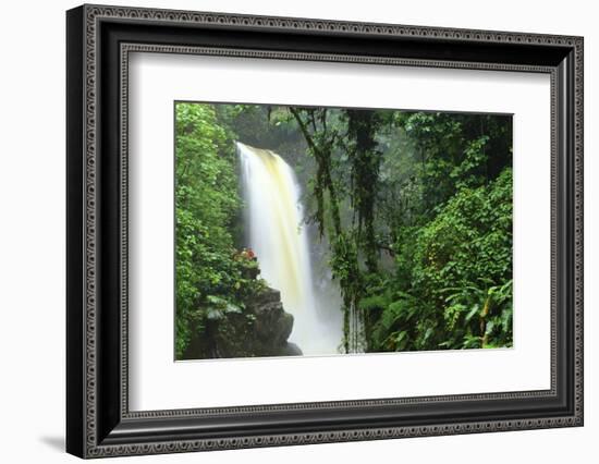 La Paz Waterfall Gardens.-Stefano Amantini-Framed Photographic Print