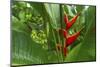 La Paz Waterfall Gardens.-Stefano Amantini-Mounted Photographic Print