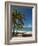 La Perle Beach, Deshaies, Basse-Terre, Guadeloupe, French Caribbean, France, West Indies-Sergio Pitamitz-Framed Photographic Print