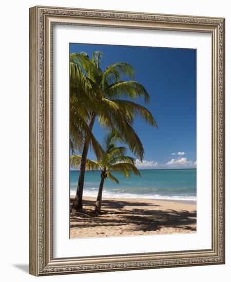 La Perle Beach, Deshaies, Basse-Terre, Guadeloupe, French Caribbean, France, West Indies-Sergio Pitamitz-Framed Photographic Print