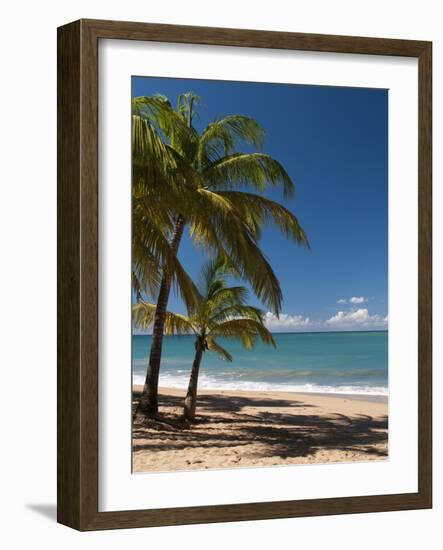 La Perle Beach, Deshaies, Basse-Terre, Guadeloupe, French Caribbean, France, West Indies-Sergio Pitamitz-Framed Photographic Print