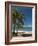 La Perle Beach, Deshaies, Basse-Terre, Guadeloupe, French Caribbean, France, West Indies-Sergio Pitamitz-Framed Photographic Print