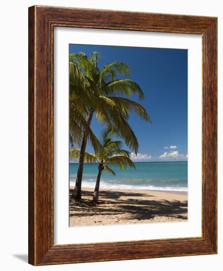 La Perle Beach, Deshaies, Basse-Terre, Guadeloupe, French Caribbean, France, West Indies-Sergio Pitamitz-Framed Photographic Print