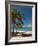 La Perle Beach, Deshaies, Basse-Terre, Guadeloupe, French Caribbean, France, West Indies-Sergio Pitamitz-Framed Photographic Print