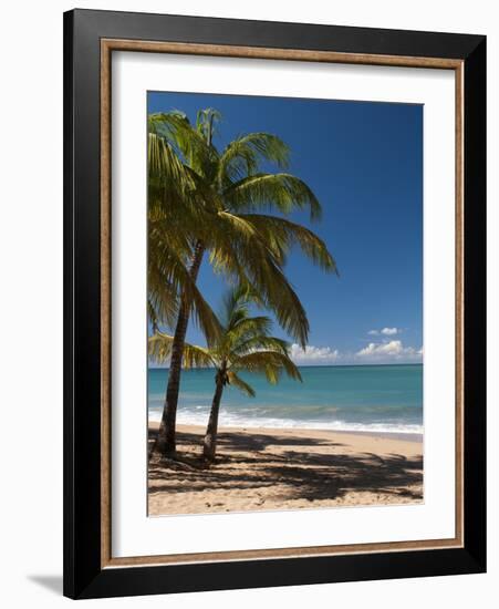 La Perle Beach, Deshaies, Basse-Terre, Guadeloupe, French Caribbean, France, West Indies-Sergio Pitamitz-Framed Photographic Print