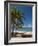 La Perle Beach, Deshaies, Basse-Terre, Guadeloupe, French Caribbean, France, West Indies-Sergio Pitamitz-Framed Photographic Print