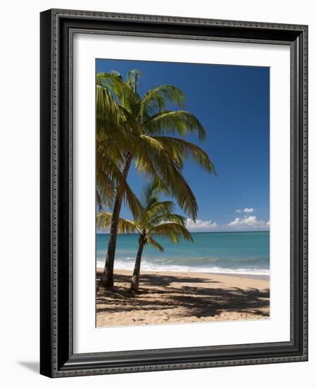 La Perle Beach, Deshaies, Basse-Terre, Guadeloupe, French Caribbean, France, West Indies-Sergio Pitamitz-Framed Photographic Print