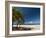 La Perle Beach, Deshaies, Basse-Terre, Guadeloupe, French Caribbean, France, West Indies-Sergio Pitamitz-Framed Photographic Print