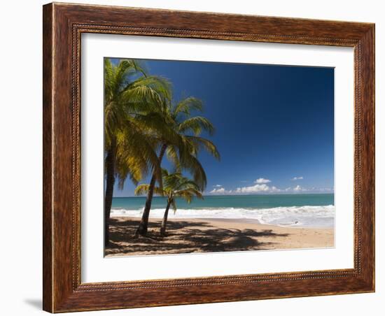 La Perle Beach, Deshaies, Basse-Terre, Guadeloupe, French Caribbean, France, West Indies-Sergio Pitamitz-Framed Photographic Print