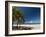 La Perle Beach, Deshaies, Basse-Terre, Guadeloupe, French Caribbean, France, West Indies-Sergio Pitamitz-Framed Photographic Print