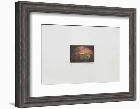 La perruche-Laurent Schkolnyk-Framed Limited Edition