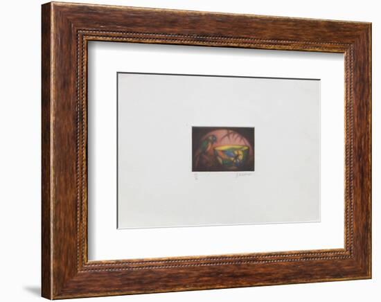 La perruche-Laurent Schkolnyk-Framed Limited Edition