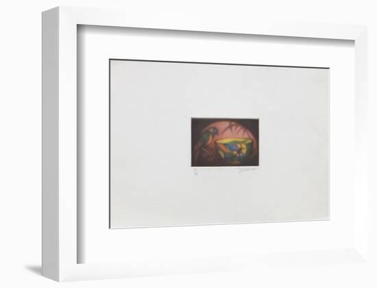 La perruche-Laurent Schkolnyk-Framed Limited Edition