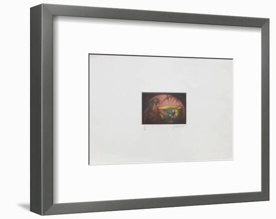 La perruche-Laurent Schkolnyk-Framed Limited Edition