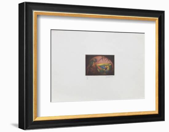 La perruche-Laurent Schkolnyk-Framed Limited Edition