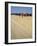 La Planche (Boadwalk) and Beach, Deauville, Calvados, Normandy, France-David Hughes-Framed Photographic Print