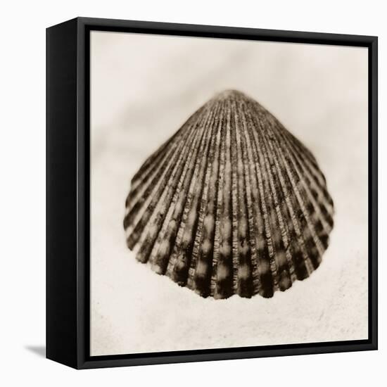 La Playa No1-Alan Blaustein-Framed Stretched Canvas