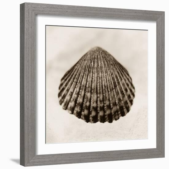 La Playa No1-Alan Blaustein-Framed Photographic Print