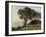 La Pointe De La Pierriere, St. Palais-Armand Guillaumin-Framed Giclee Print