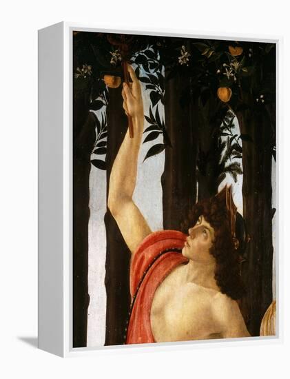 La Primavera (Spring,) Detail of Mercury Holding Wand to Orange Tree-Sandro Botticelli-Framed Premier Image Canvas