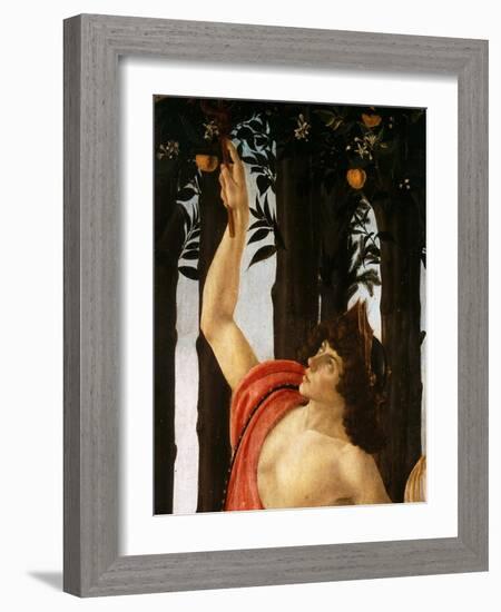 La Primavera (Spring,) Detail of Mercury Holding Wand to Orange Tree-Sandro Botticelli-Framed Giclee Print