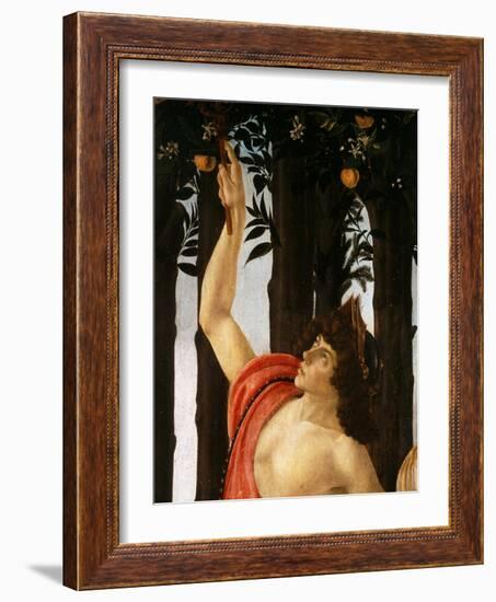 La Primavera (Spring,) Detail of Mercury Holding Wand to Orange Tree-Sandro Botticelli-Framed Giclee Print