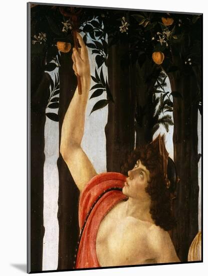 La Primavera (Spring,) Detail of Mercury Holding Wand to Orange Tree-Sandro Botticelli-Mounted Giclee Print