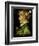 La Primavera (The Spring), 1573-Giuseppe Arcimboldo-Framed Giclee Print