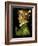 La Primavera (The Spring), 1573-Giuseppe Arcimboldo-Framed Giclee Print