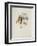 La Princesse de Babylone 02 (Essai 6)-Kees van Dongen-Framed Premium Edition