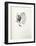 La Princesse de Babylone 02 (Suite NB)-Kees van Dongen-Framed Premium Edition