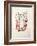 La Princesse de Babylone 36 (Suite couleur)-Kees van Dongen-Framed Premium Edition