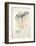 La Princesse de Babylone 47 (Suite couleur)-Kees van Dongen-Framed Premium Edition