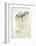 La Princesse de Babylone 47 (Suite couleur)-Kees van Dongen-Framed Premium Edition