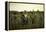 La Rappel Des Glaneursthe Recall of the Gleaners-Jules Breton-Framed Premier Image Canvas