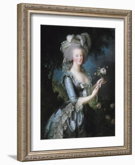 La reine Marie-Antoinette dit "à la Rose" (1755-1793)-Elisabeth Louise Vigée-LeBrun-Framed Giclee Print