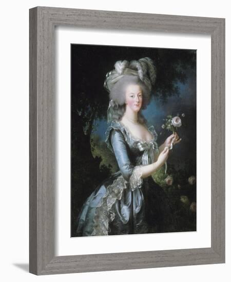 La reine Marie-Antoinette dit "à la Rose" (1755-1793)-Elisabeth Louise Vigée-LeBrun-Framed Giclee Print