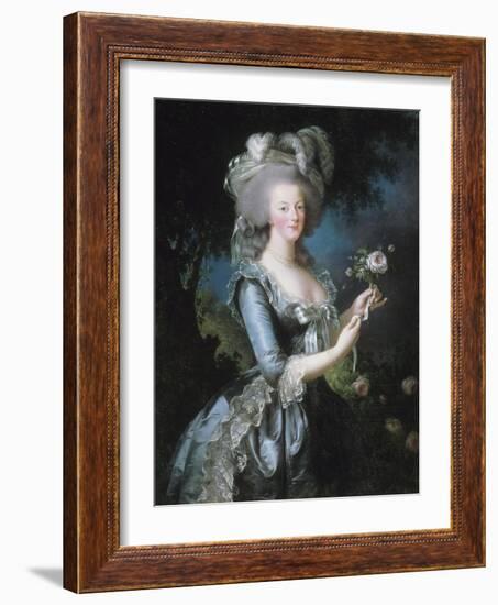 La reine Marie-Antoinette dit "à la Rose" (1755-1793)-Elisabeth Louise Vigée-LeBrun-Framed Giclee Print