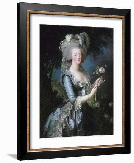 La reine Marie-Antoinette dit "à la Rose" (1755-1793)-Elisabeth Louise Vigée-LeBrun-Framed Giclee Print