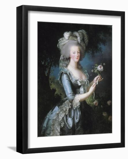 La reine Marie-Antoinette dit "à la Rose" (1755-1793)-Elisabeth Louise Vigée-LeBrun-Framed Giclee Print