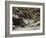 La remise des chevreuils en hiver-Gustave Courbet-Framed Giclee Print