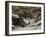 La remise des chevreuils en hiver-Gustave Courbet-Framed Giclee Print