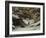 La remise des chevreuils en hiver-Gustave Courbet-Framed Giclee Print