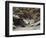 La remise des chevreuils en hiver-Gustave Courbet-Framed Giclee Print