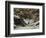 La remise des chevreuils en hiver-Gustave Courbet-Framed Giclee Print